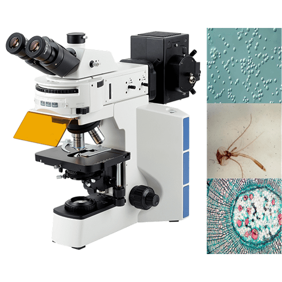 Biological Microscopes