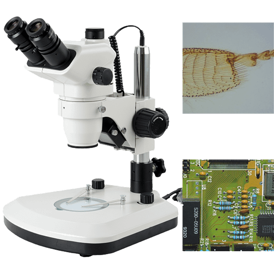 Stereo Microscope